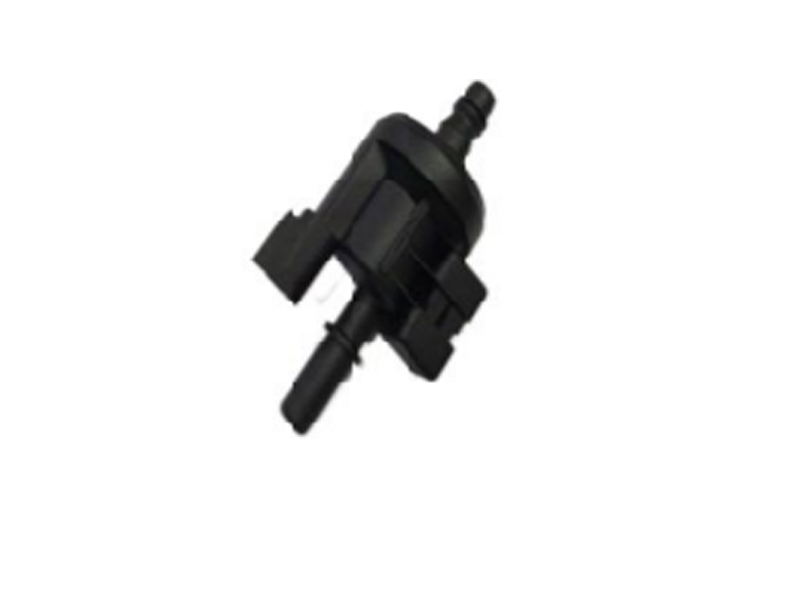 10721498 Solenoid झडप